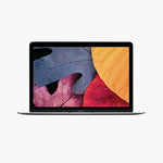 products/item-img-1-17_8dcdb0fd-fc2c-41cf-a183-d8cd22fb59e5.jpg